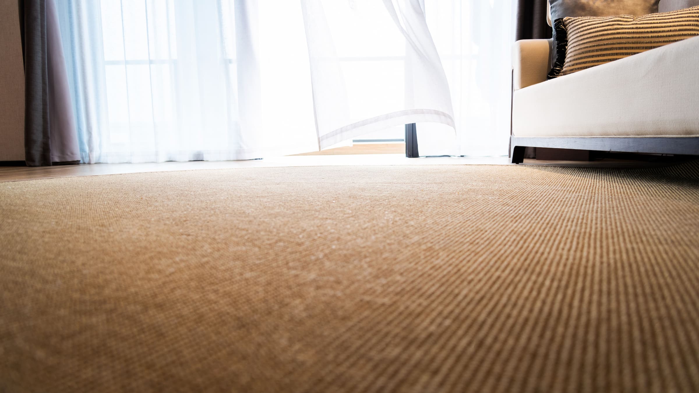 Carpet cleaning tips